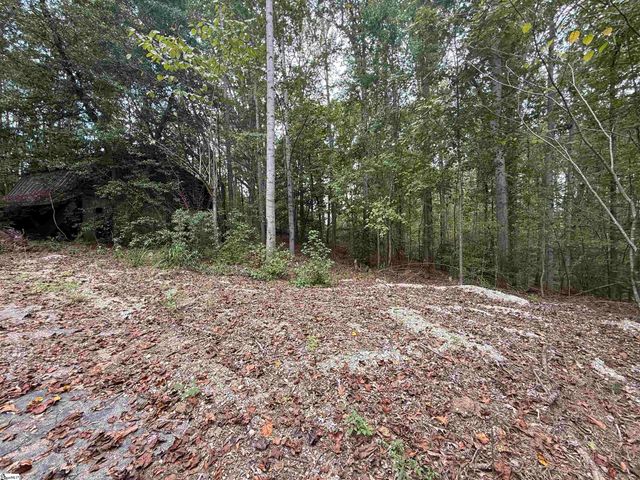 9000 U.S. 221 Highway, Woodruff, SC 29388