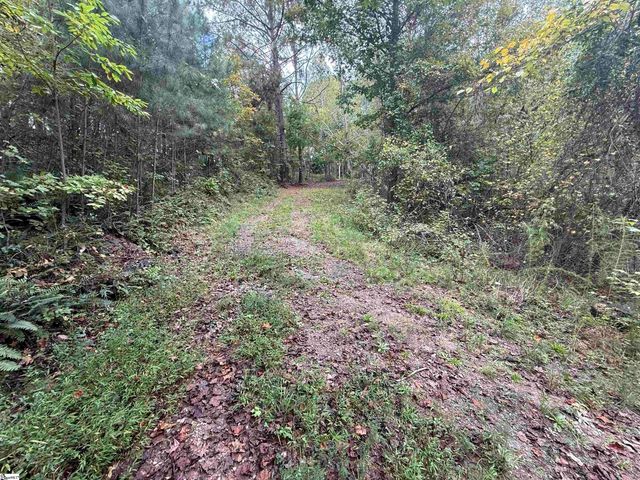 9000 U.S. 221 Highway, Woodruff, SC 29388