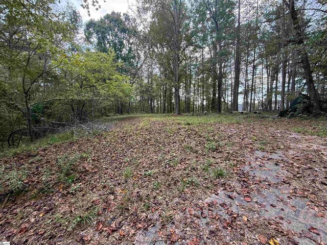 9000 U.S. 221 Highway, Woodruff, SC 29388