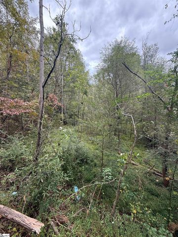 9000 U.S. 221 Highway, Woodruff, SC 29388