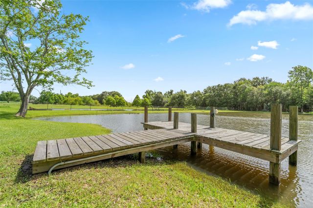 3023 Mandale Road, Friendswood, TX 77546