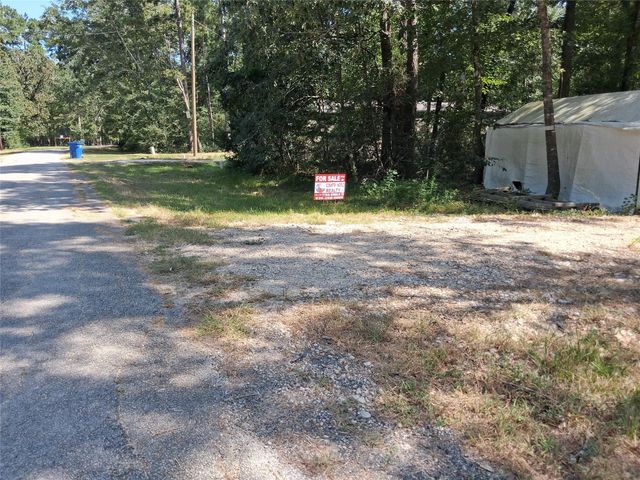 915 Meridian, Livingston, TX 77351