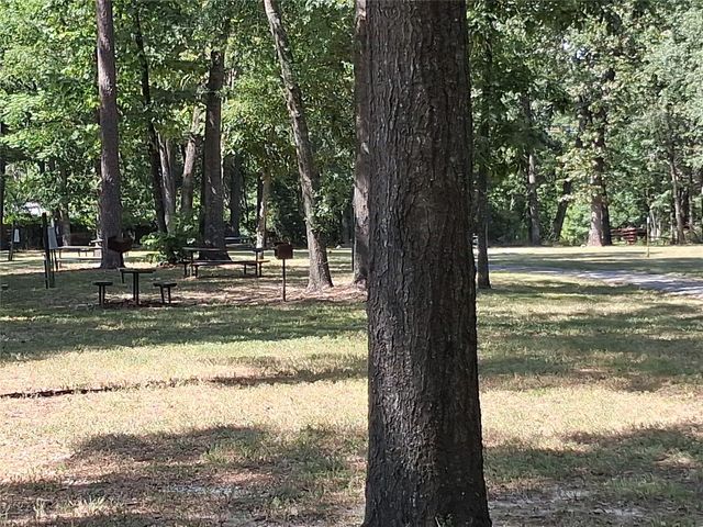 915 Meridian, Livingston, TX 77351
