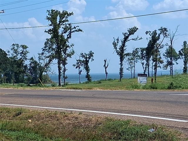 915 Meridian, Livingston, TX 77351