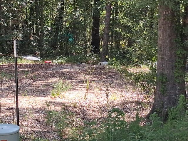 915 Meridian, Livingston, TX 77351