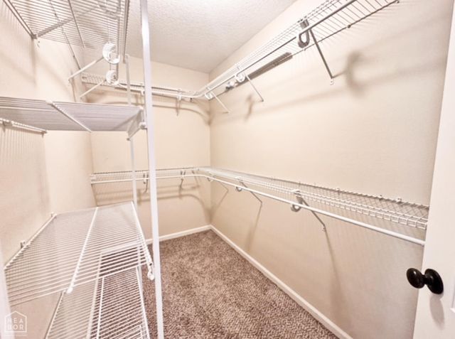 4816 Ocean Drive, Jonesboro, AR 72405