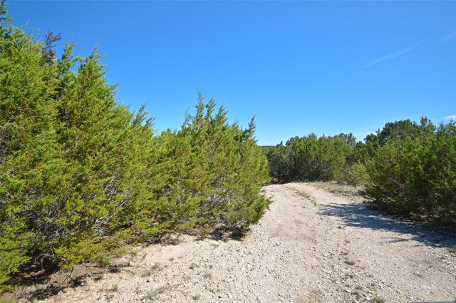 0 FM 581 Highway, Lometa, TX 76853