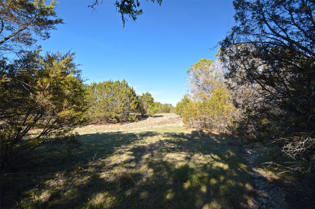 0 FM 581 Highway, Lometa, TX 76853