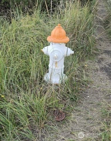 437 Dune Crest, Westport, WA 98595