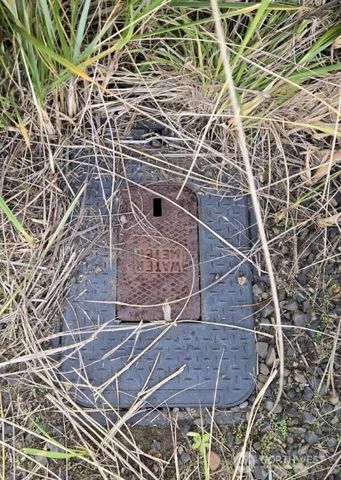 437 Dune Crest, Westport, WA 98595