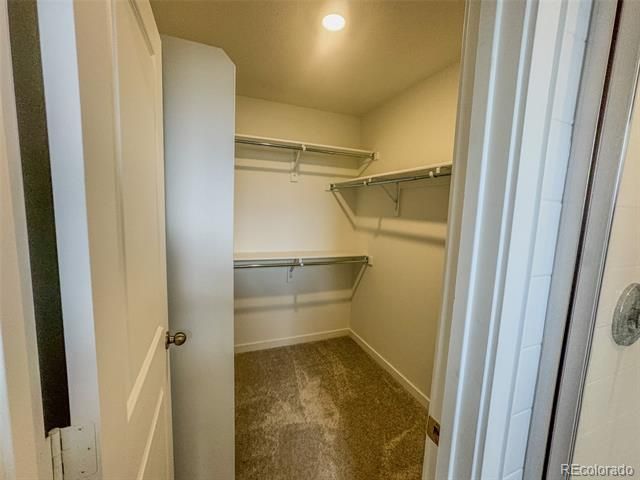 8858 Waterleaf Lane, Littleton, CO 80125