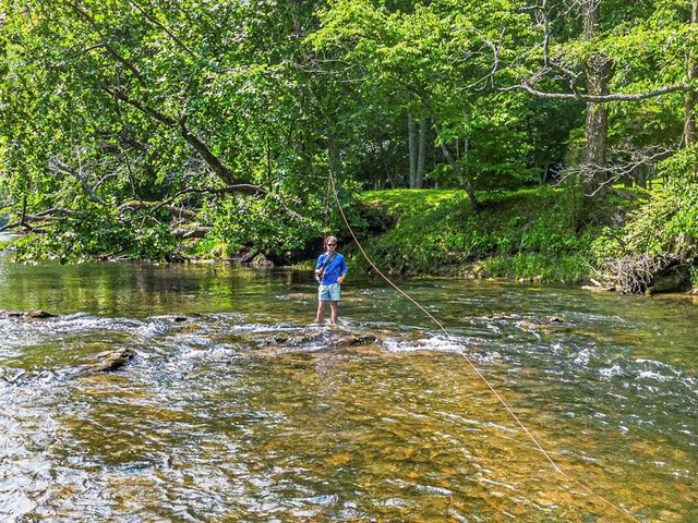 605 Toccoa Preserve Lane, Blue Ridge, GA 30513