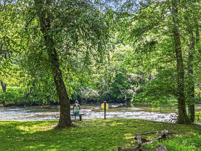 605 Toccoa Preserve Lane, Blue Ridge, GA 30513