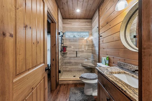 605 Toccoa Preserve Lane, Blue Ridge, GA 30513