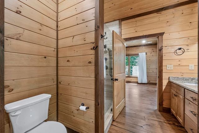 605 Toccoa Preserve Lane, Blue Ridge, GA 30513