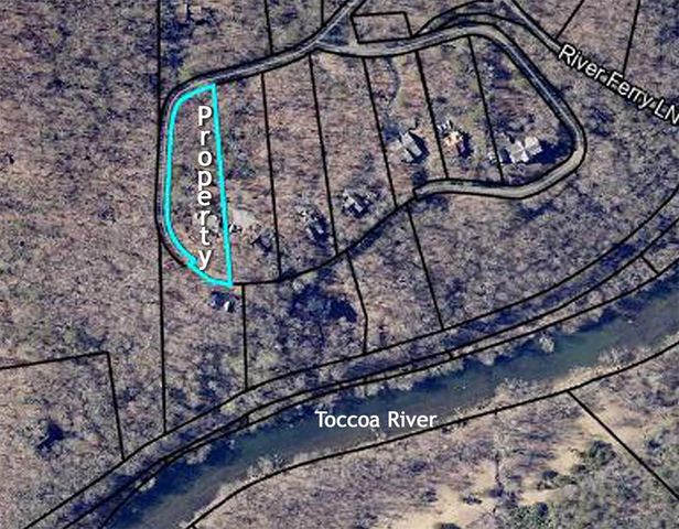 605 Toccoa Preserve Lane, Blue Ridge, GA 30513