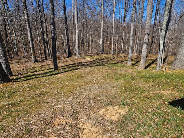 123 Lee Ct, Gainesboro, TN 38562