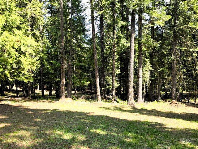 68 Panorama Dr, Lenore, ID 83541