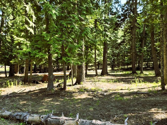 68 Panorama Dr, Lenore, ID 83541