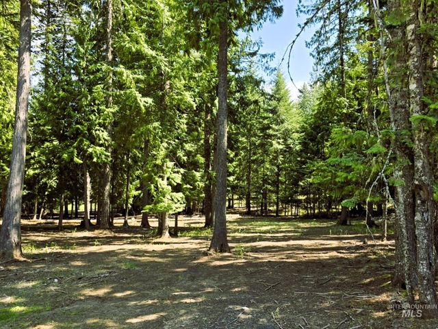 68 Panorama Dr, Lenore, ID 83541