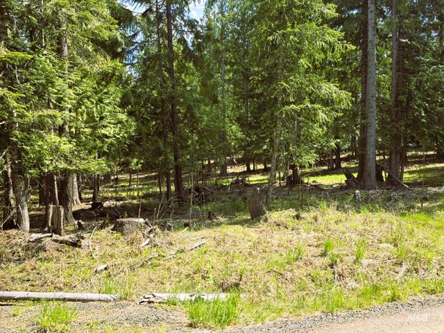 68 Panorama Dr, Lenore, ID 83541