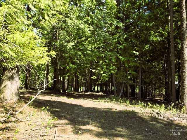 68 Panorama Dr, Lenore, ID 83541