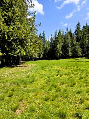 68 Panorama Dr, Lenore, ID 83541