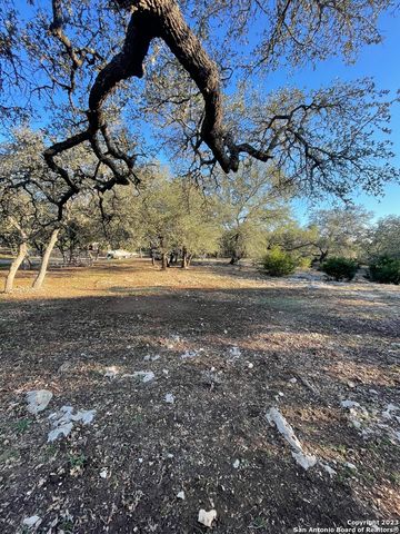 3772 spring branch, Spring Branch, TX 78070