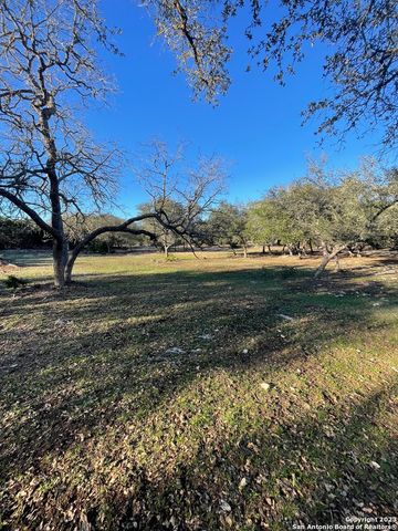 3772 spring branch, Spring Branch, TX 78070