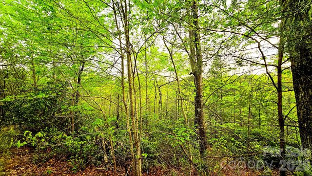 Lot 59 Bear Cliff Way, Lake Lure, NC 28746