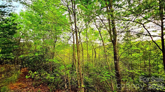 Lot 59 Bear Cliff Way, Lake Lure, NC 28746