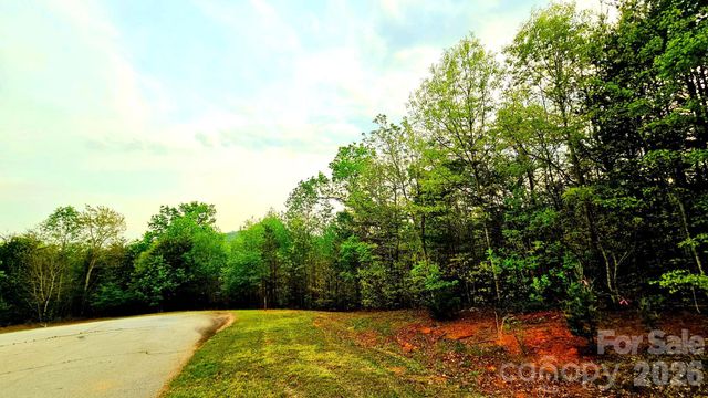 Lot 59 Bear Cliff Way, Lake Lure, NC 28746