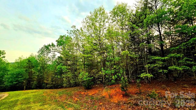 Lot 59 Bear Cliff Way, Lake Lure, NC 28746