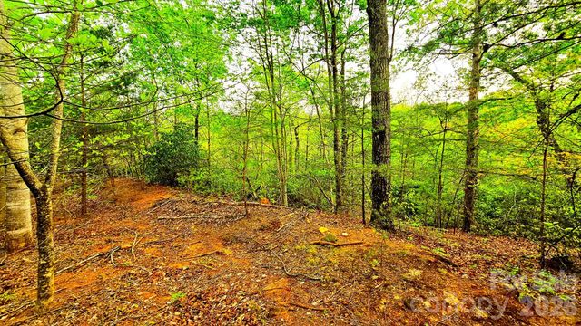 Lot 59 Bear Cliff Way, Lake Lure, NC 28746