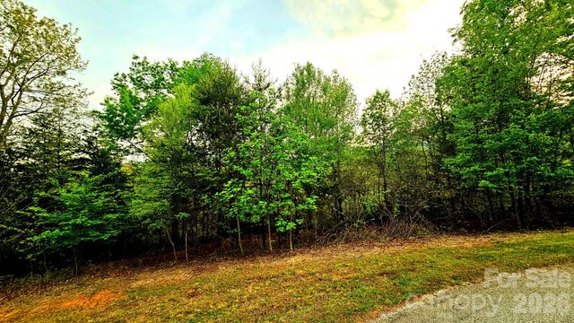 Lot 59 Bear Cliff Way, Lake Lure, NC 28746