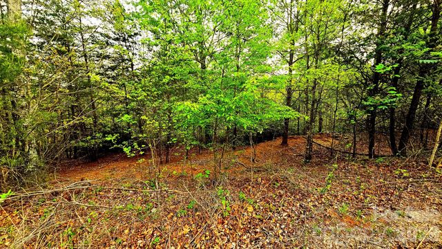 Lot 59 Bear Cliff Way, Lake Lure, NC 28746