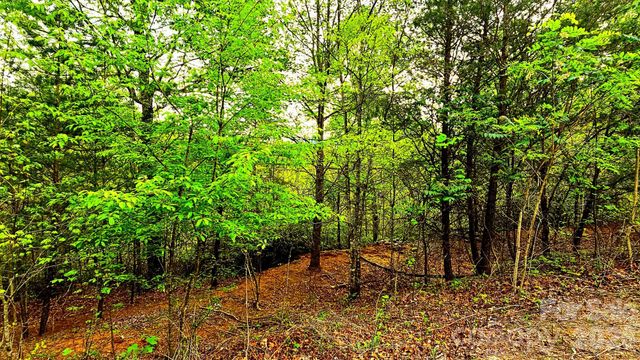 Lot 59 Bear Cliff Way, Lake Lure, NC 28746