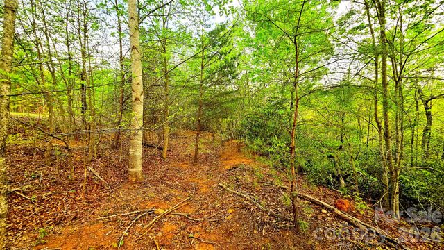 Lot 59 Bear Cliff Way, Lake Lure, NC 28746