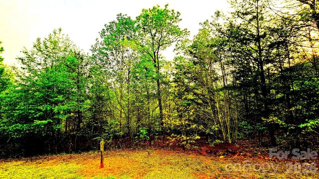 Lot 59 Bear Cliff Way, Lake Lure, NC 28746