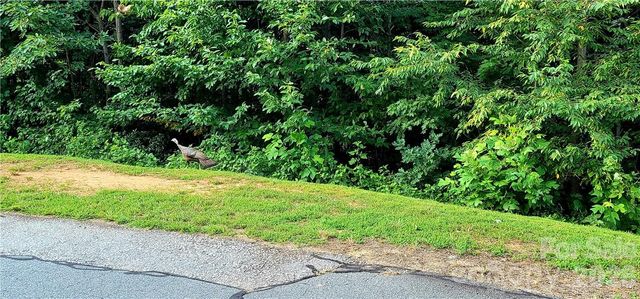 Lot 59 Bear Cliff Way, Lake Lure, NC 28746