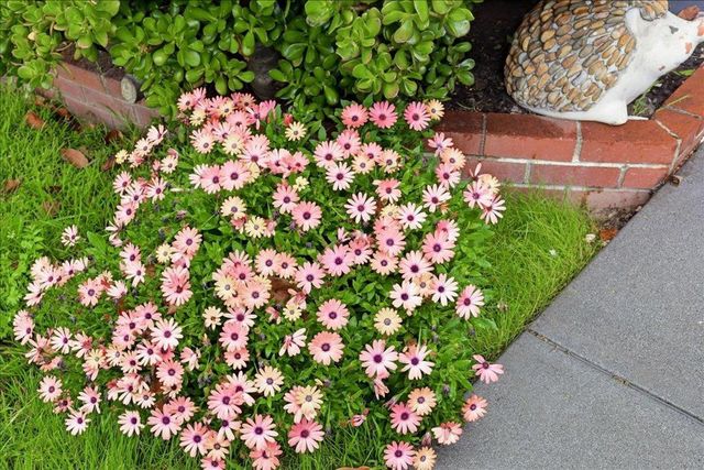 1535 Monte Diablo Avenue, San Mateo, CA 94401