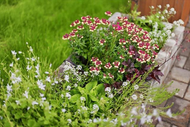 1535 Monte Diablo Avenue, San Mateo, CA 94401