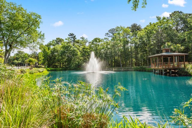 2312 Egret Crest Lane, Charleston, SC 29414