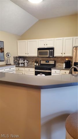 23413 Grist Mill Court 4, Olmsted Falls, OH 44138