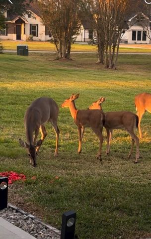 11693 Grandview Drive, Montgomery, TX 77356