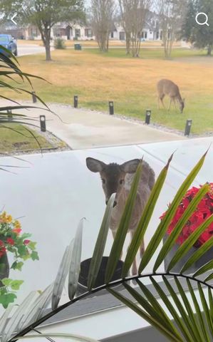 11693 Grandview Drive, Montgomery, TX 77356