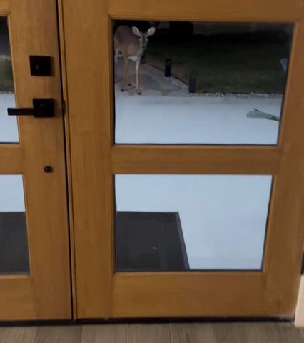 11693 Grandview Drive, Montgomery, TX 77356