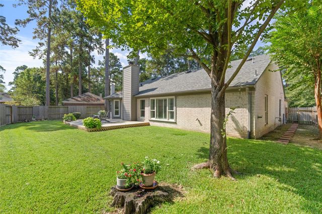 14 Lush Meadow Place, The Woodlands, TX 77381