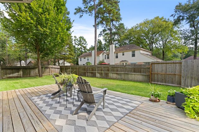 14 Lush Meadow Place, The Woodlands, TX 77381