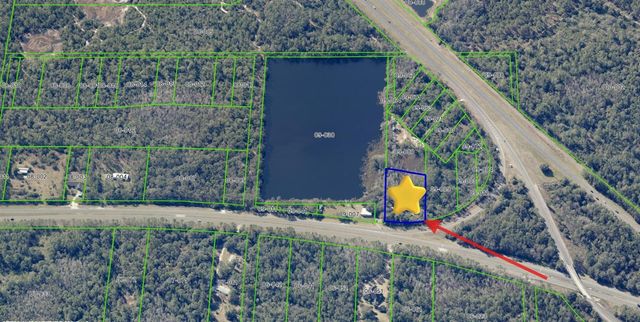 20106 E COLONIAL DRIVE, Christmas, FL 32709